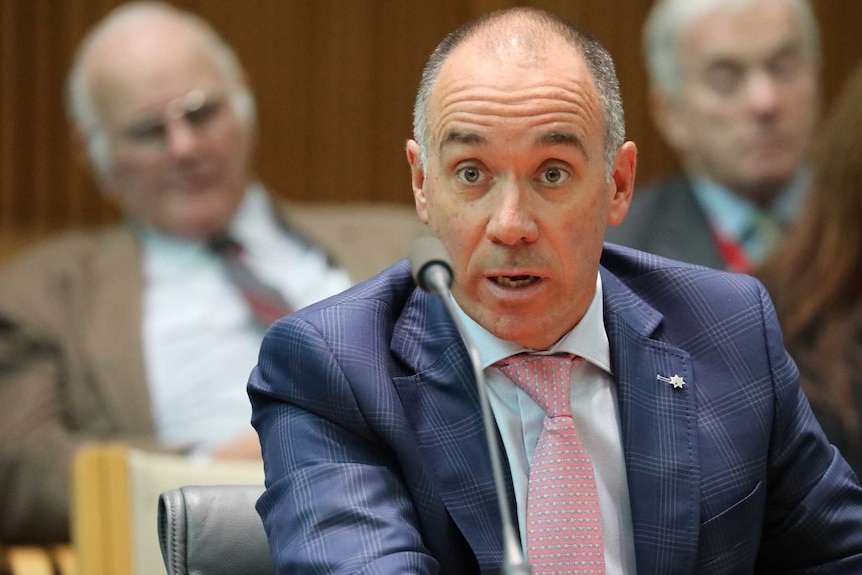 Mr Thorburn appears before the House Economics Committee in Canberra