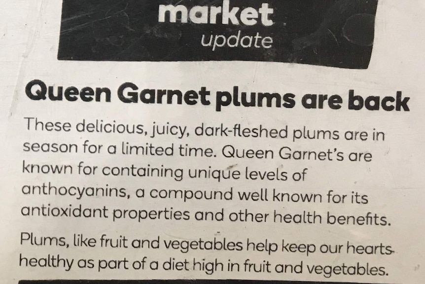 An explanation of the health benefits of queen garnet plums