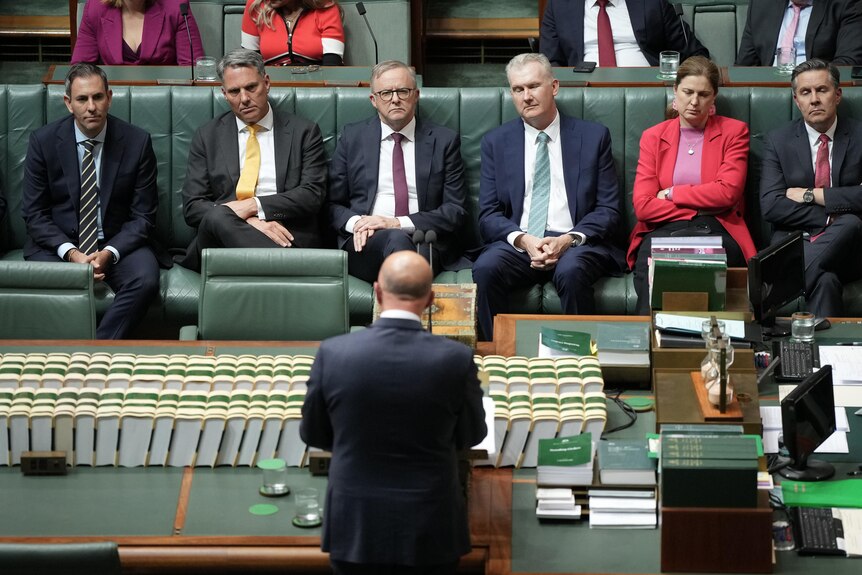 Dutton with his back to the camera addresses the House of Representatives.