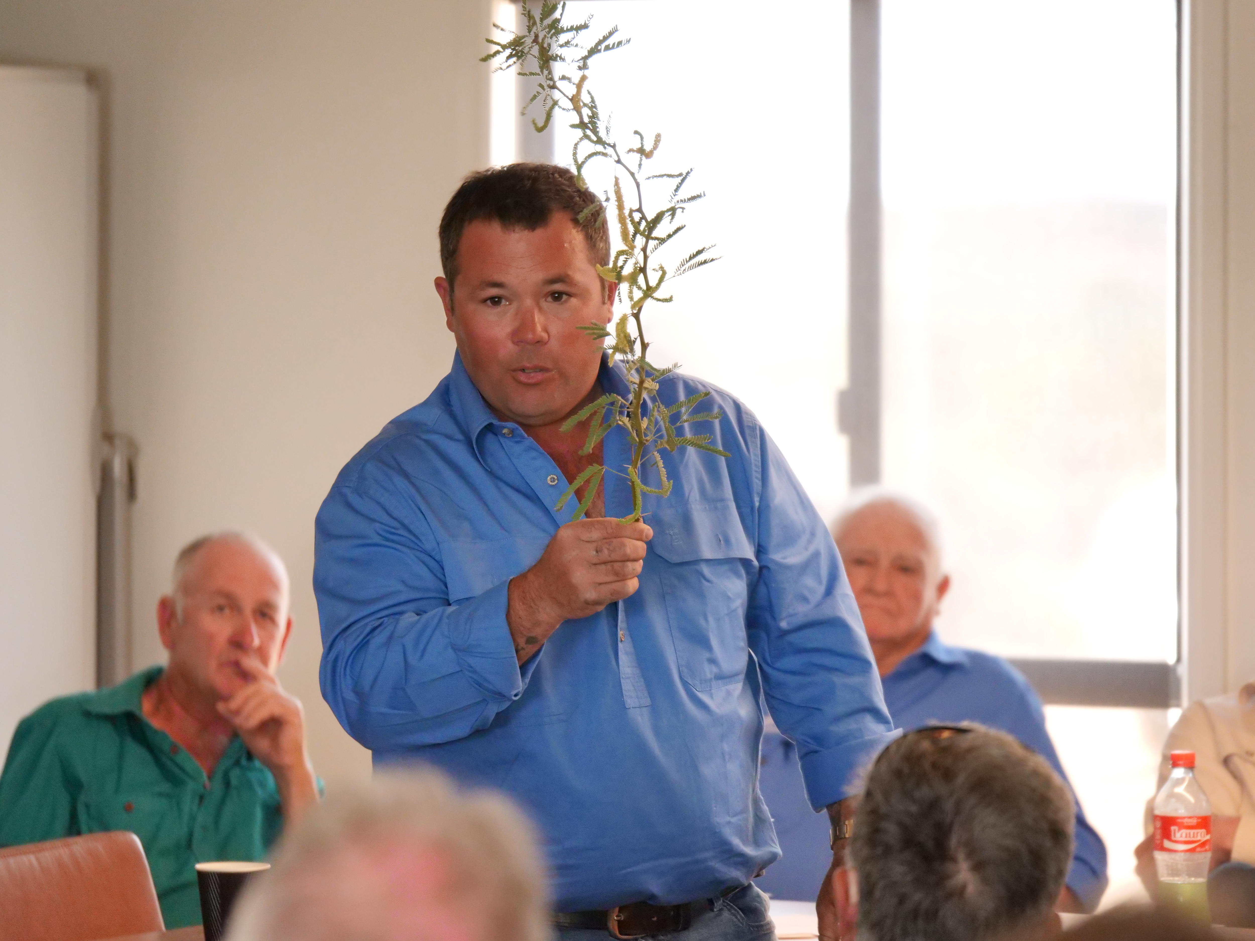 Um homem com uma camisa azul de mangas compridas segura um pequeno galho de árvore na mão
