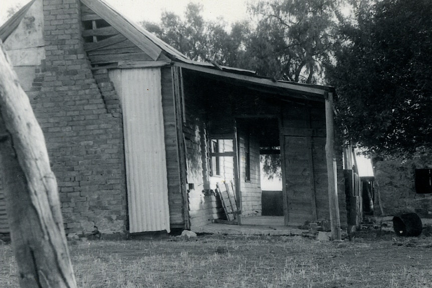 Black and white photo of Frogmore. The shack has a brick chimney and corrugated iron and timber walls with slats missing.