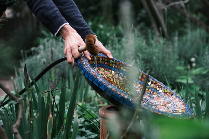 Kim pours water out of a colourful mosaic birdbath