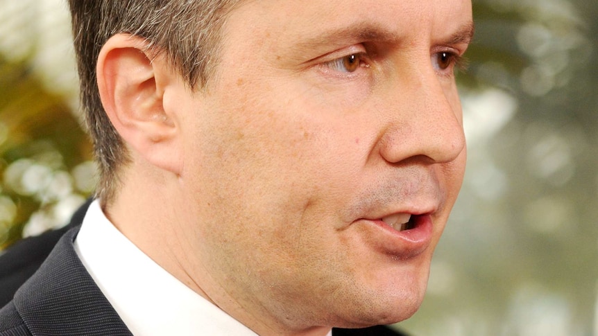 Climate Change Minister Mark Butler speaks during a press conference.
