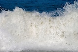 Wave breaking on the sea