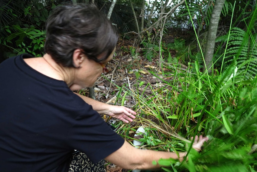 Gardener Helen Schwencke looking for butterfly traces