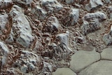 Close up look at Pluto