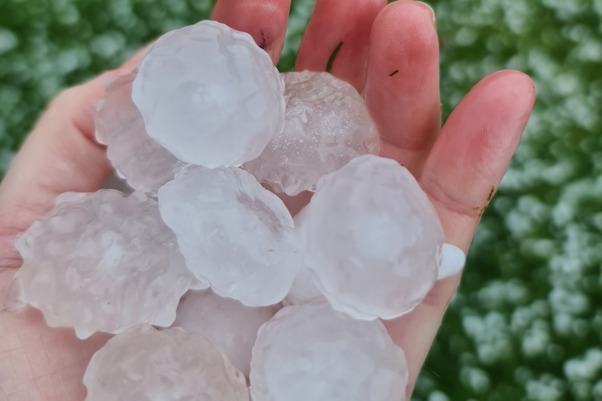 Hail in a person's hand