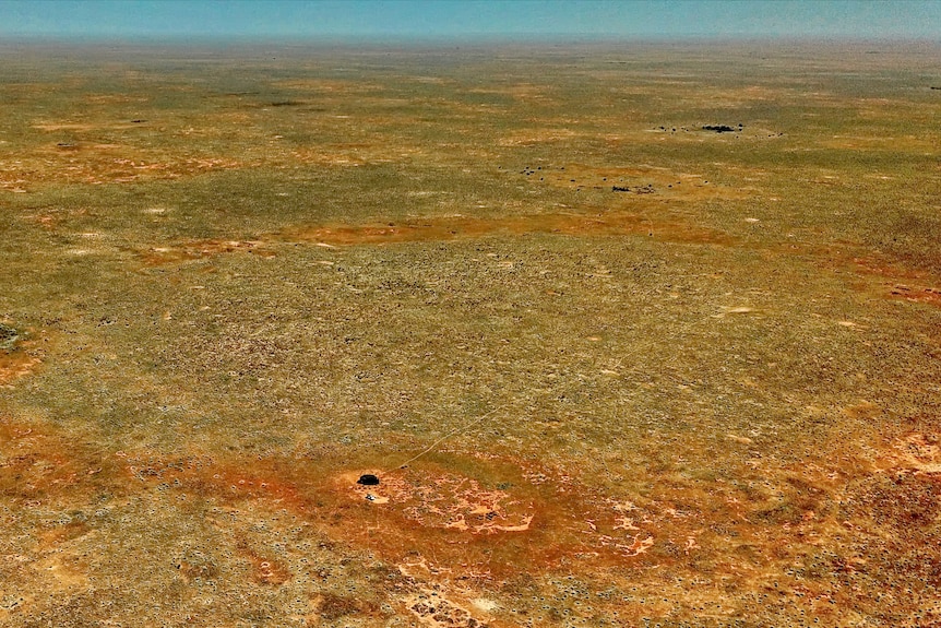 Nullarbor Plain