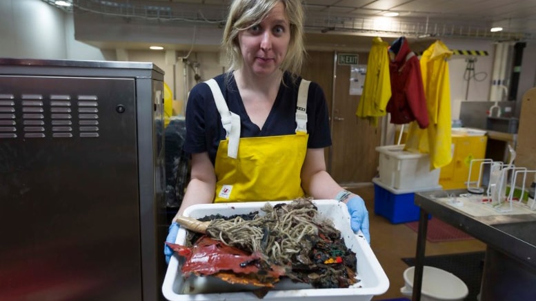 Museums Victoria research assistant Phoebe Lewis holding of tray of rubbish from Australia's eastern abyss