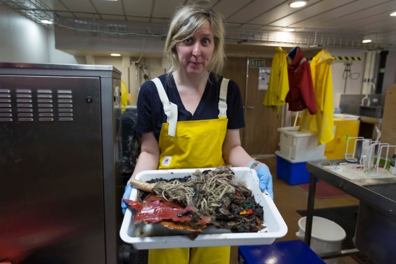 Museums Victoria research assistant Phoebe Lewis holding of tray of rubbish from Australia's eastern abyss