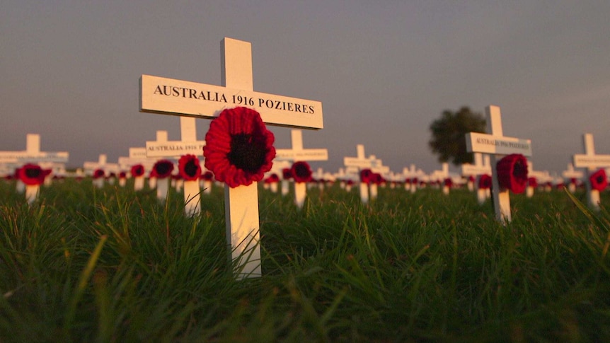 Australia 1916 Pozieres headstones in northern France.