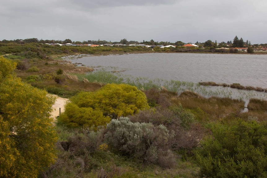 Houses behind Lake Richmond