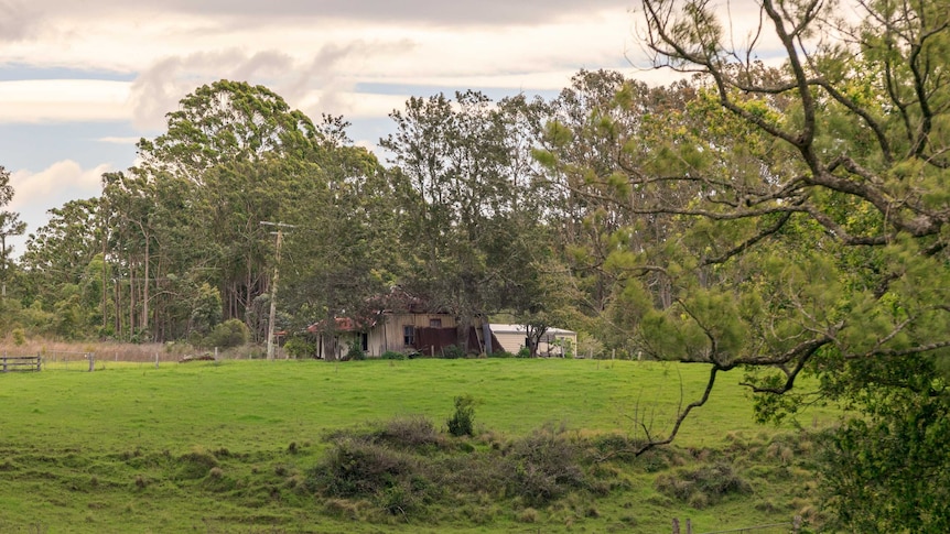 A small timber cottage sits across a paddock.