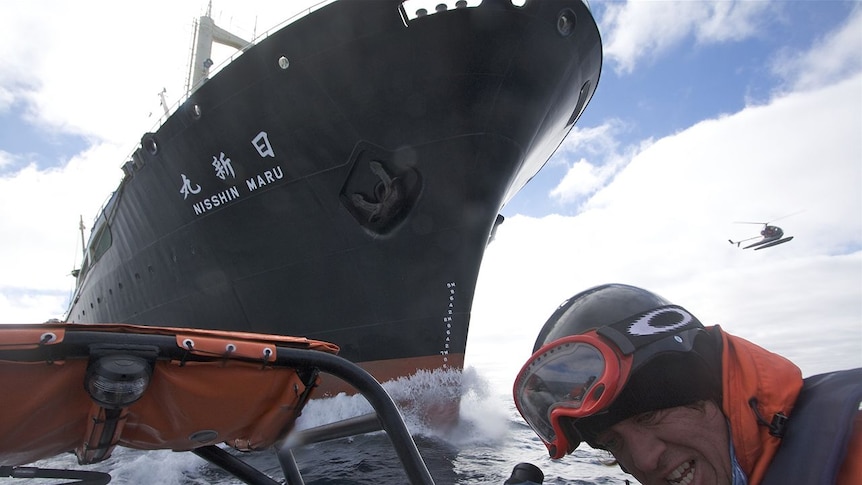 Paul Watson, the captain of the Sea Shepherd anti-whaling ship the Steve Irwin