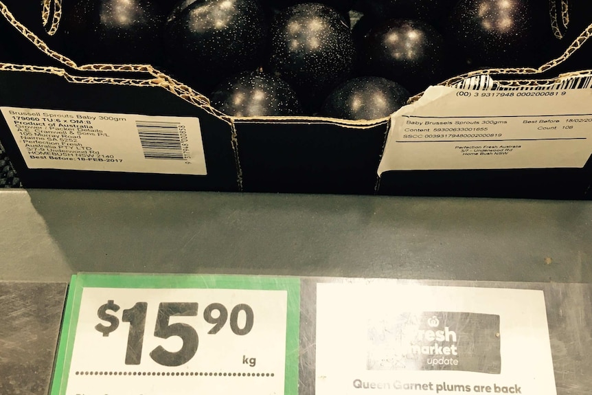 A box of plums with a price tag of $15.90 per kilogram