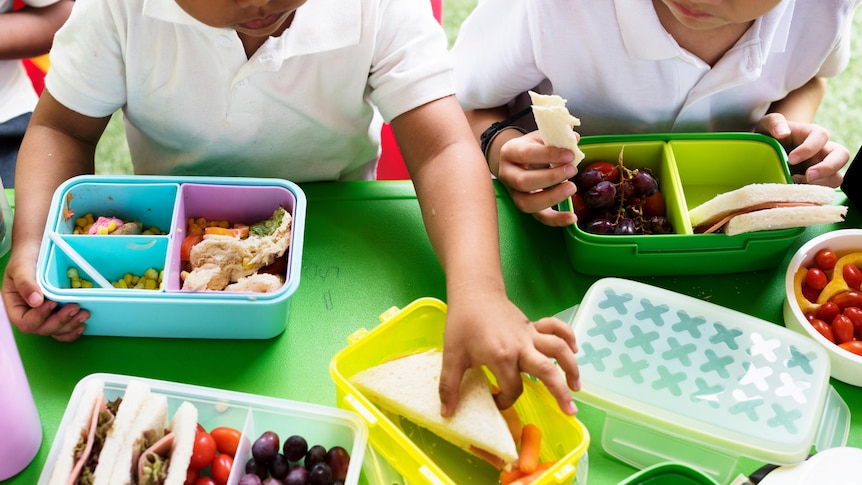 Two young children reach for sandwiches, grapes and carrots from colourful lunch boxes at school.