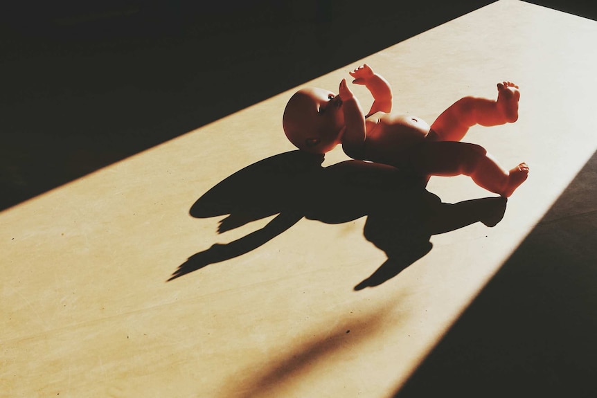 A high angle view of a baby toy on a hardwood floor.