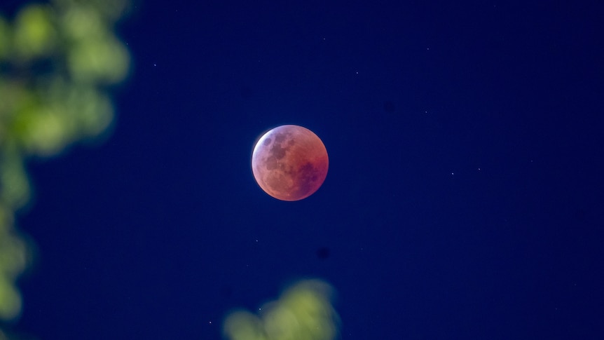 Blood moon. 