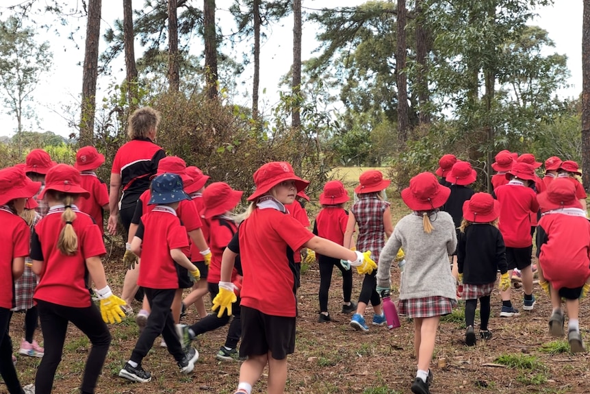 A group of primary school kids in uniform walking through a forest