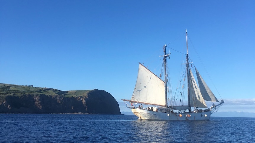 A sailing ship with white sails, against a blue sky and blue ocean with cliffs jutting out behind it, covered in grass