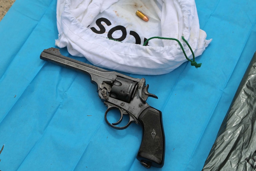 Revolver seized in Punchbowl police raid
