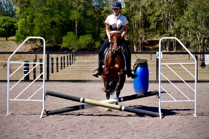A horse and rider go over a jump.