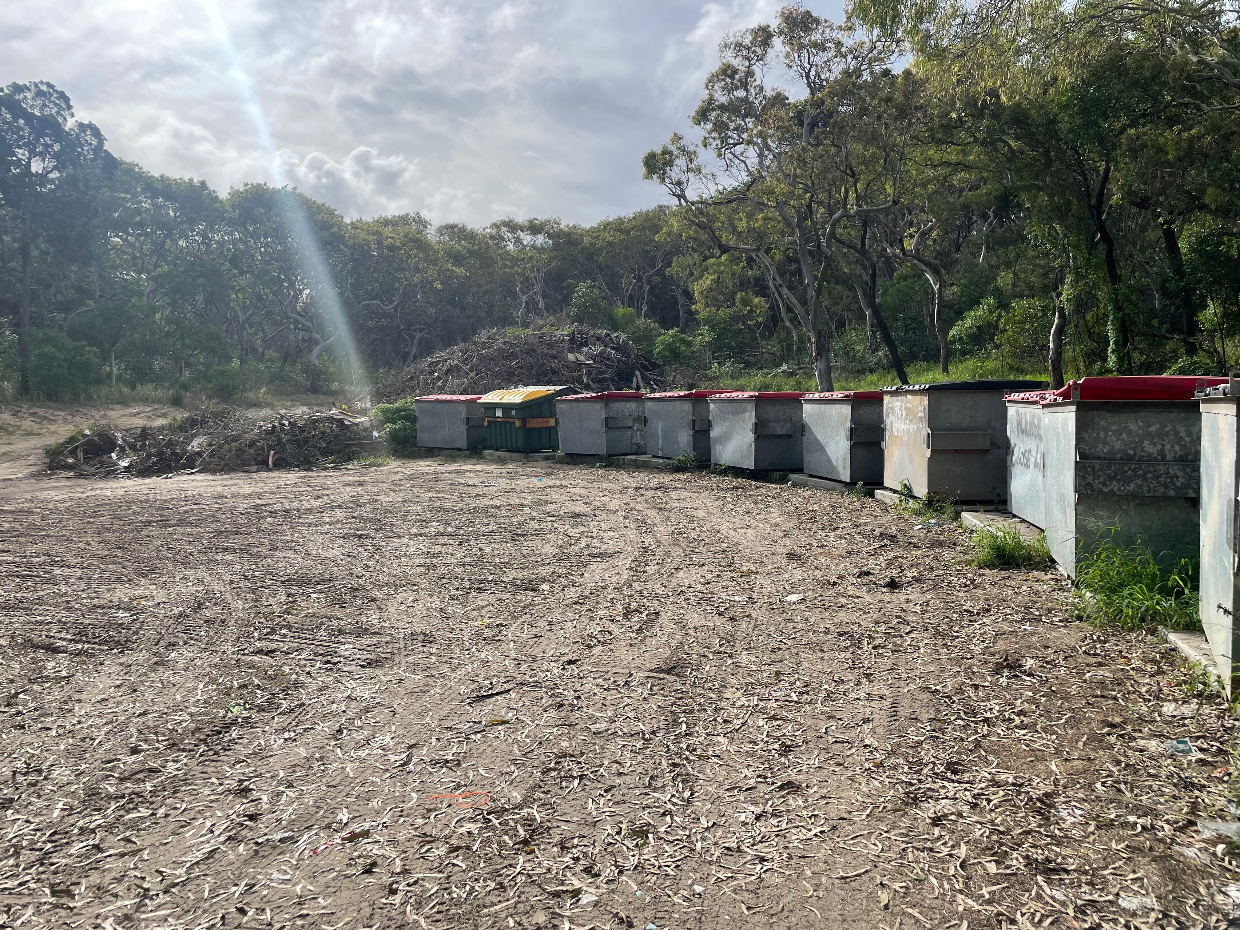 A line of tip bins in an open forest area.
