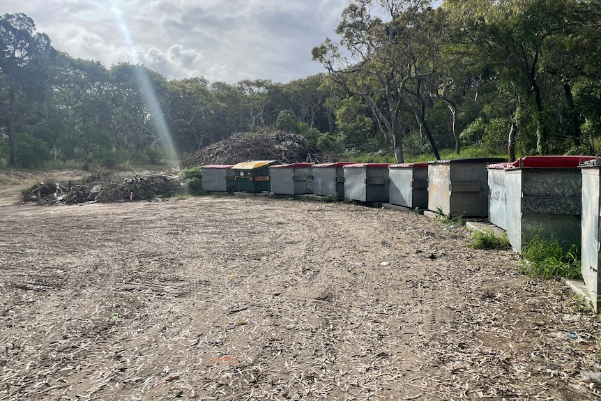 A line of tip bins in an open forest area.