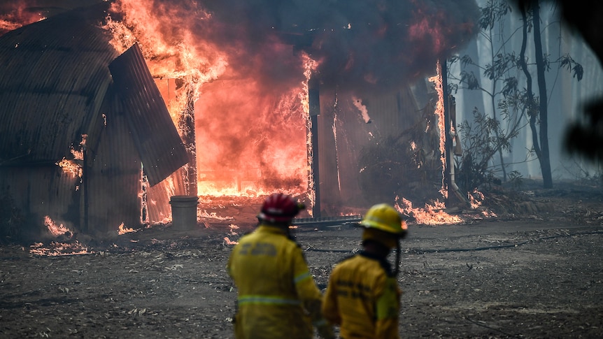 firefighters stand in front of burning shed