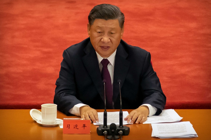 Chinese President Xi Jinping speaks into a microphone while sitting at a table.