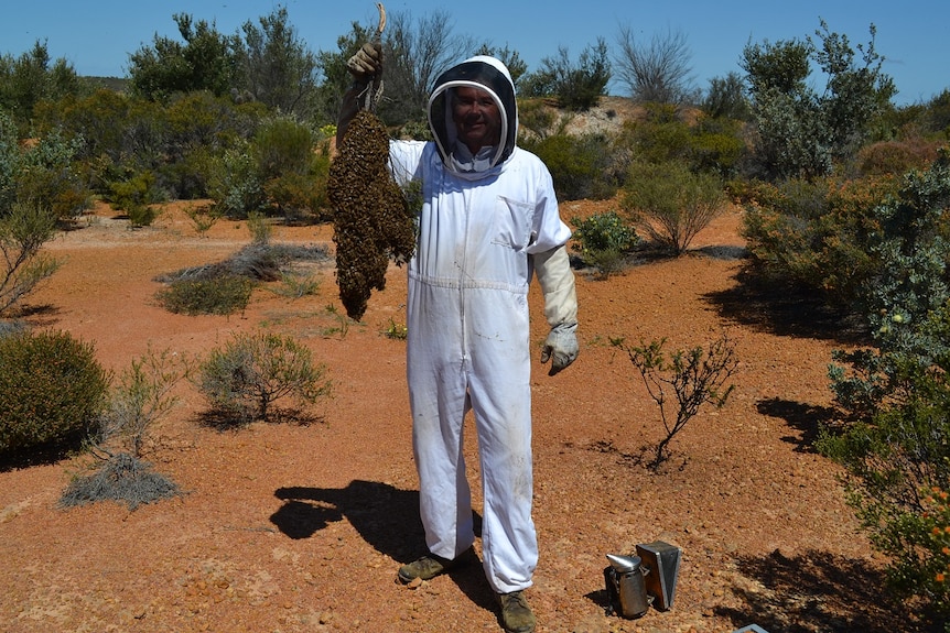 Rupert Phillips with a swarm of bees