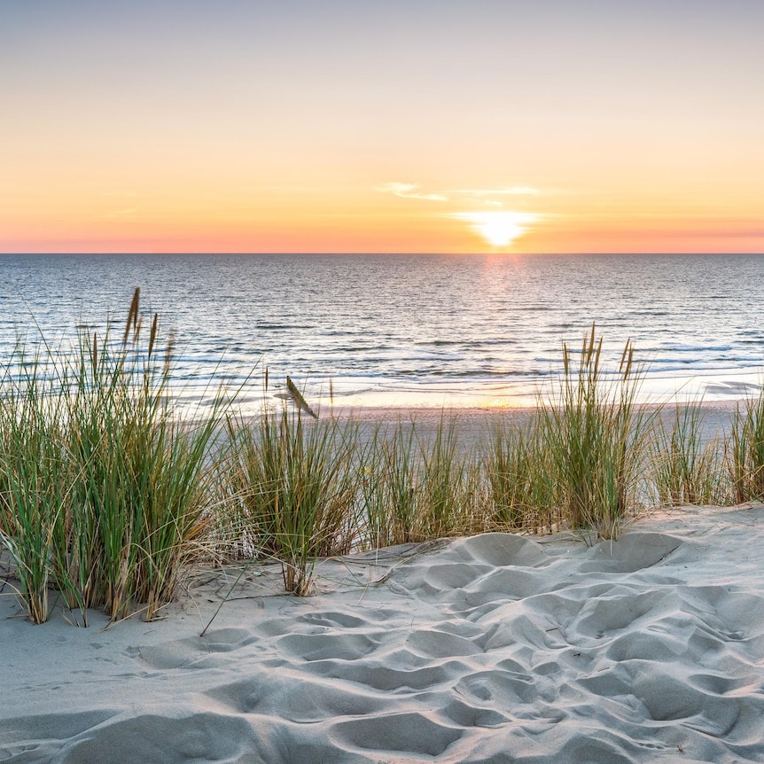 A white sand beach with the sun rising over the ocean.