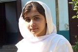 Pakistani schoolgirl Malala Yousafzai, who was attacked by the Taliban for campaigning for women's education rights.