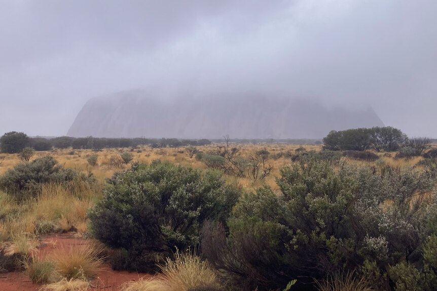 cloud covers Uluru