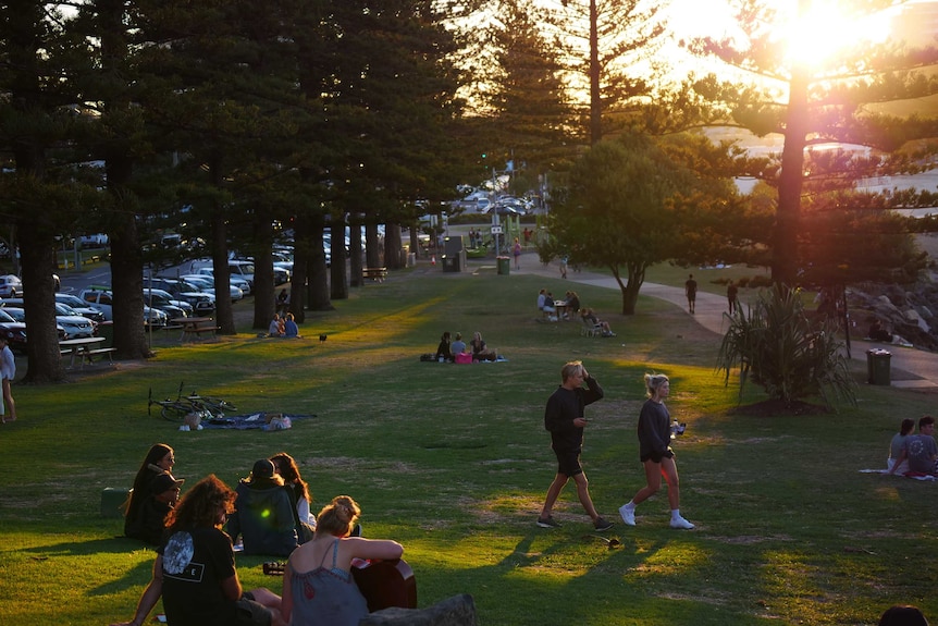 Different groups of people sit or walk together on the grass of a park lined with large pine trees with a busy carpark behind.