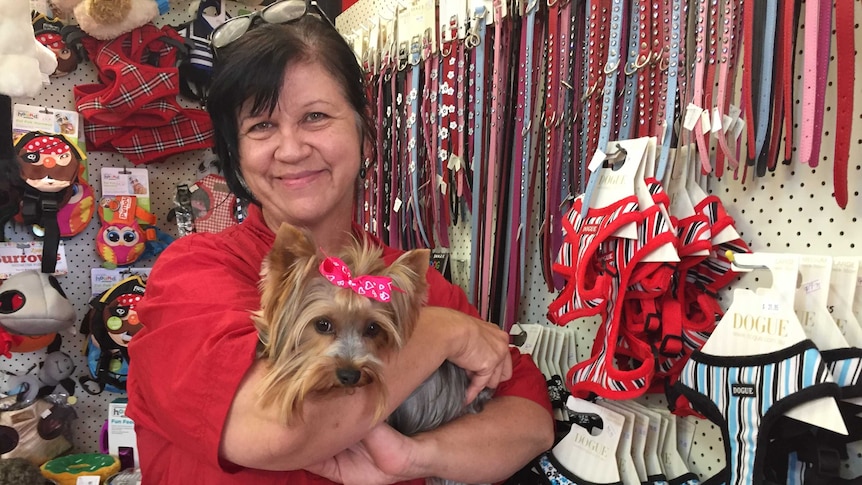 Dog groomer Elena Raiti stands in her shop holding onto a freshly groomed puppy.