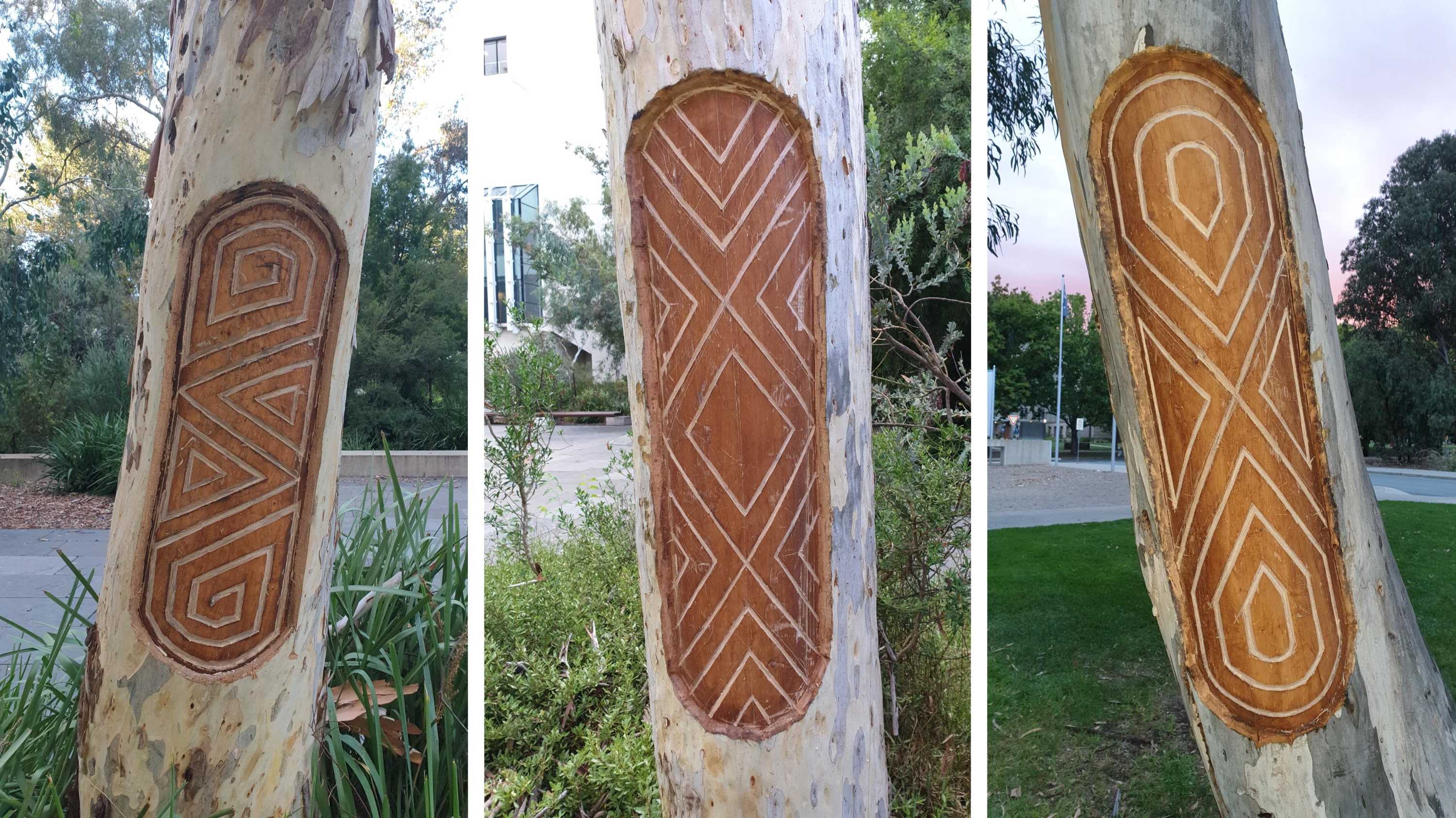 Trees – conservation, culture and country