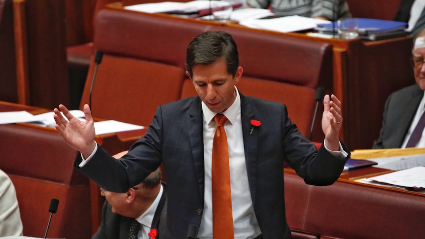 Education Minister Simon Birmingham gestures in the Senate