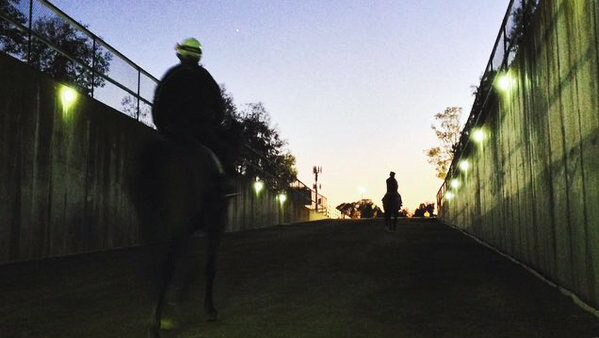 Trackside at Flemington Racetrack, at dawn on Melbourne Cup day.