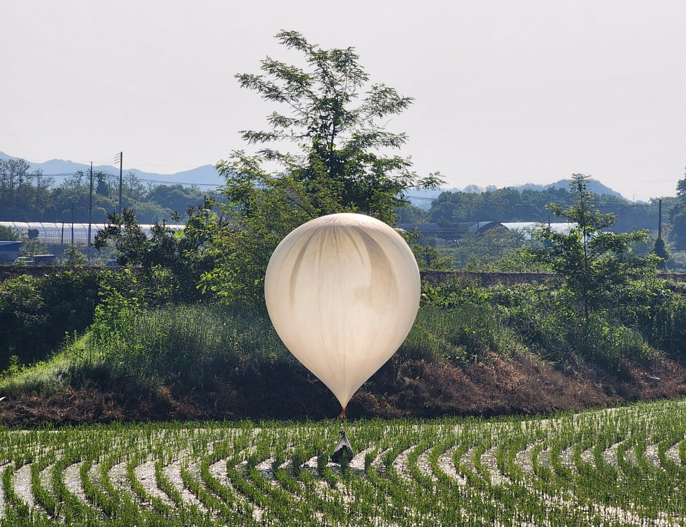 North Korea Reignites Garbage Balloon Drop Tactic