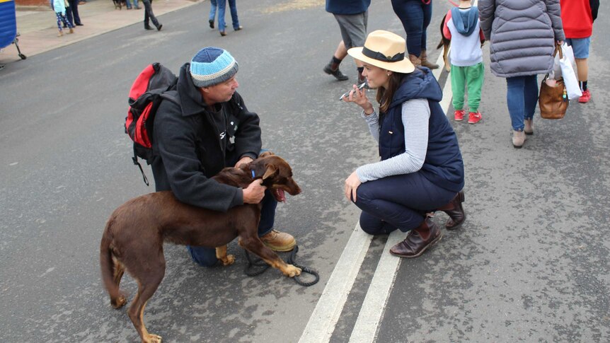 Reporter Jemima Burt crouched down with Dog Skip and owner Chris King doing an interview on the phone.