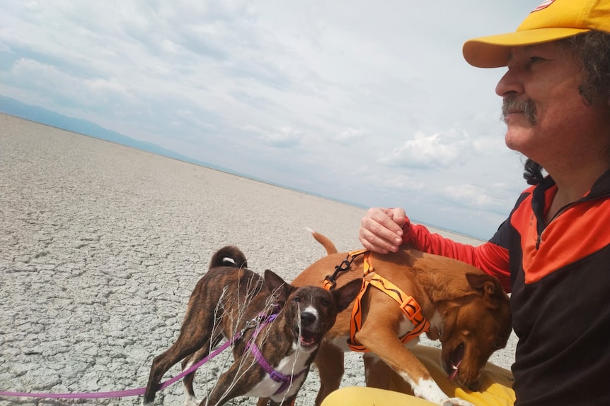 Bayram Çini pats his dogs as he looks out over the dried lake.