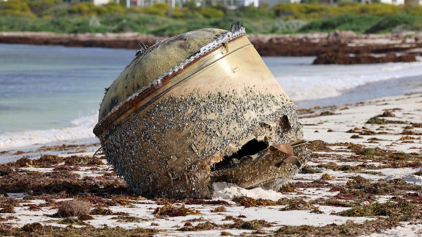 A large beige coloured object with barnacles attached sits at an angle in beach sand with coast and housing behind