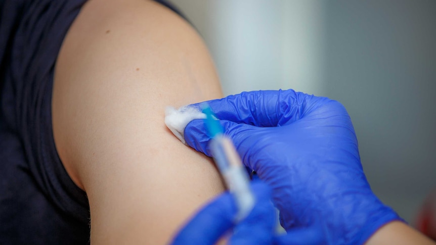 Syringe containing vaccine in the hands of a doctor in blue gloves.