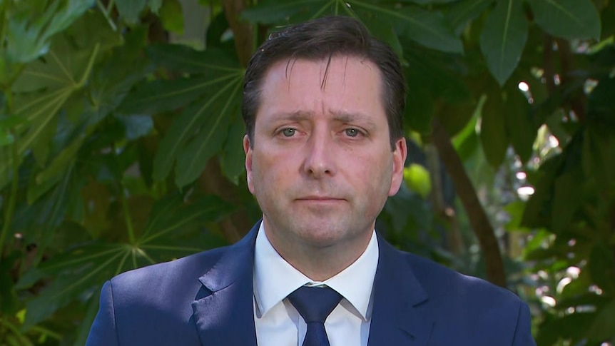 Matthew Guy has a firm expressed as he stands, dressed in a suit, in front of a leafy green plant.