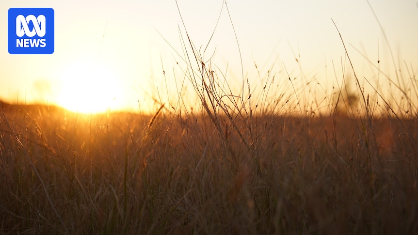 Extreme Heatwave Hits Remote Western Australia: What You Need to Know