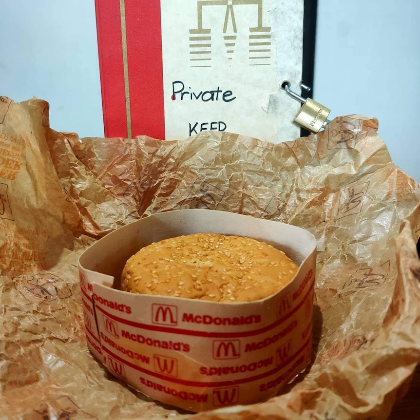 A burger sits on top of it's wrapping in front of a cardboard box.