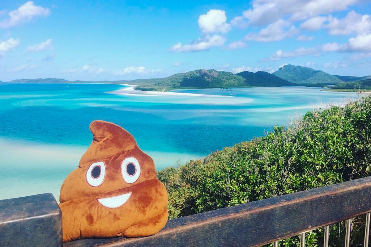 Sisterhood of the Travelling Poo: Nurses' Instagram account raises ...