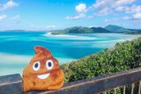 Bristol the poo in the Whitsundays in north Queensland.
