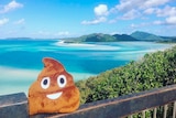 Bristol the poo in the Whitsundays in north Queensland.